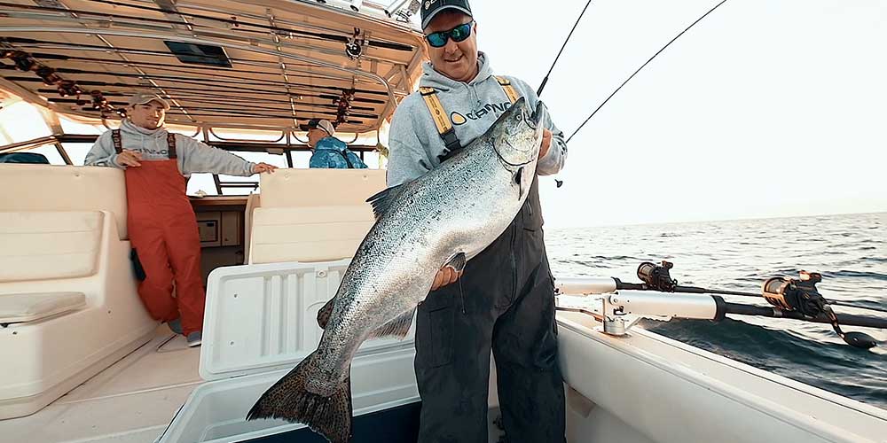 mark courts with large king salmon