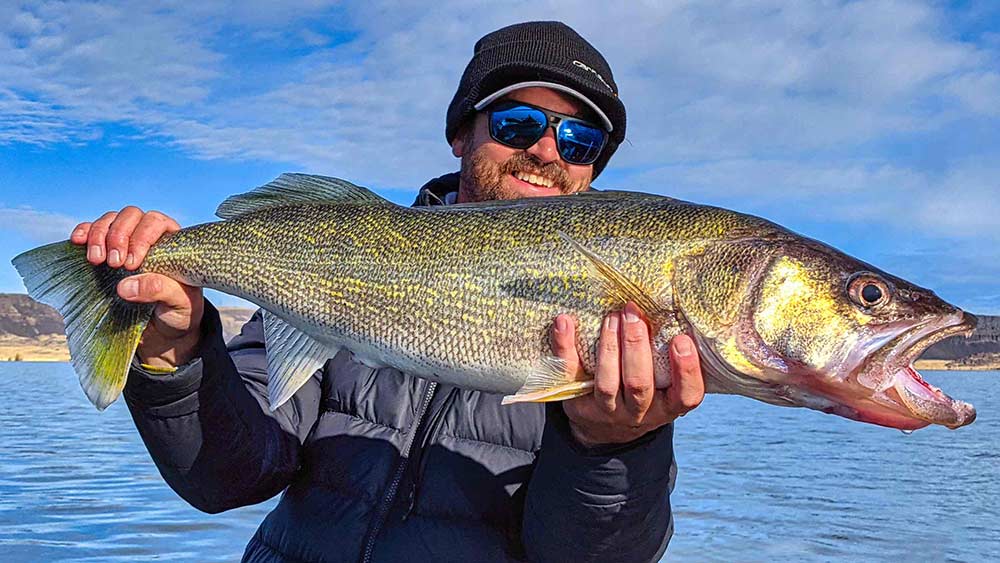 Walleye or bust; anglers troll with flow