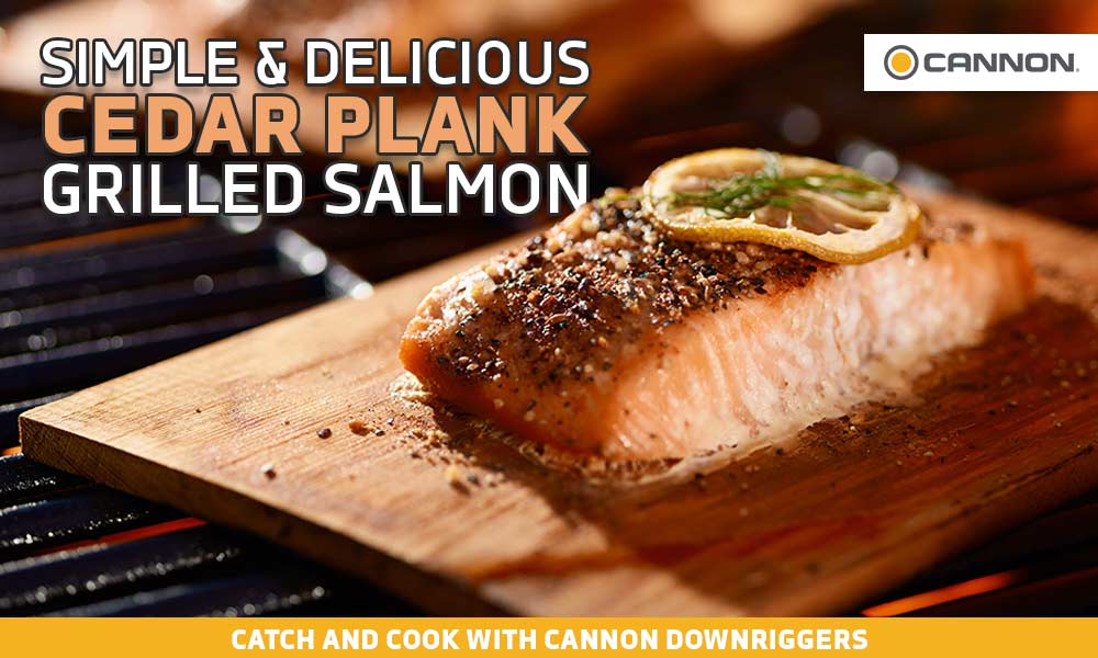 simple plank grilled salmon recipe