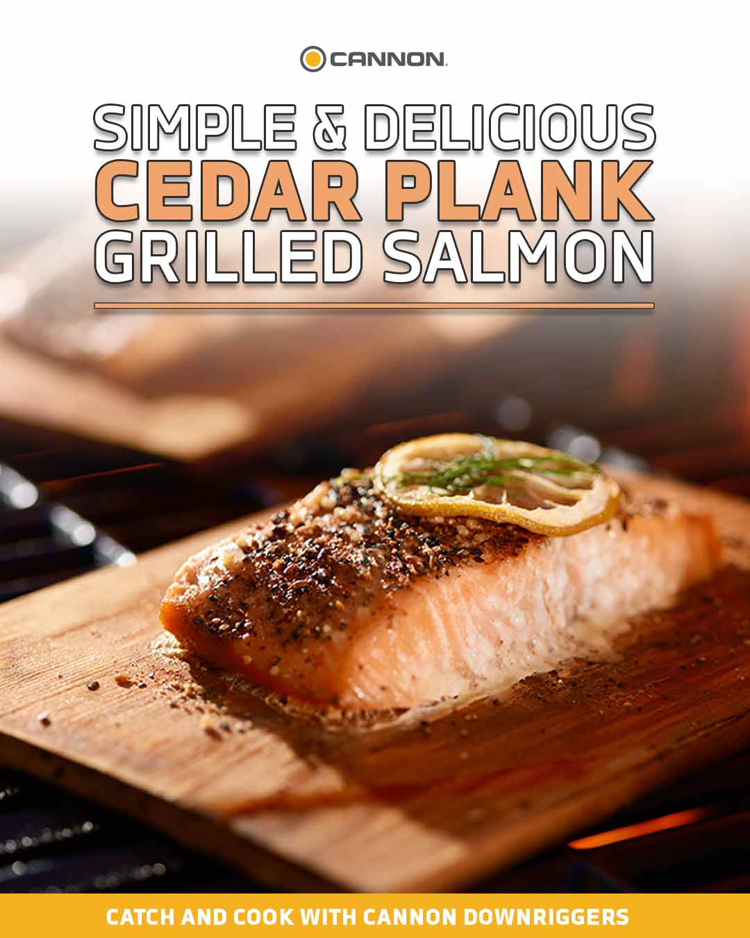 simply delicious grilled plank salmon recipe